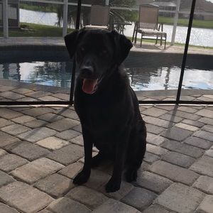 Meet your Posher, Jenna